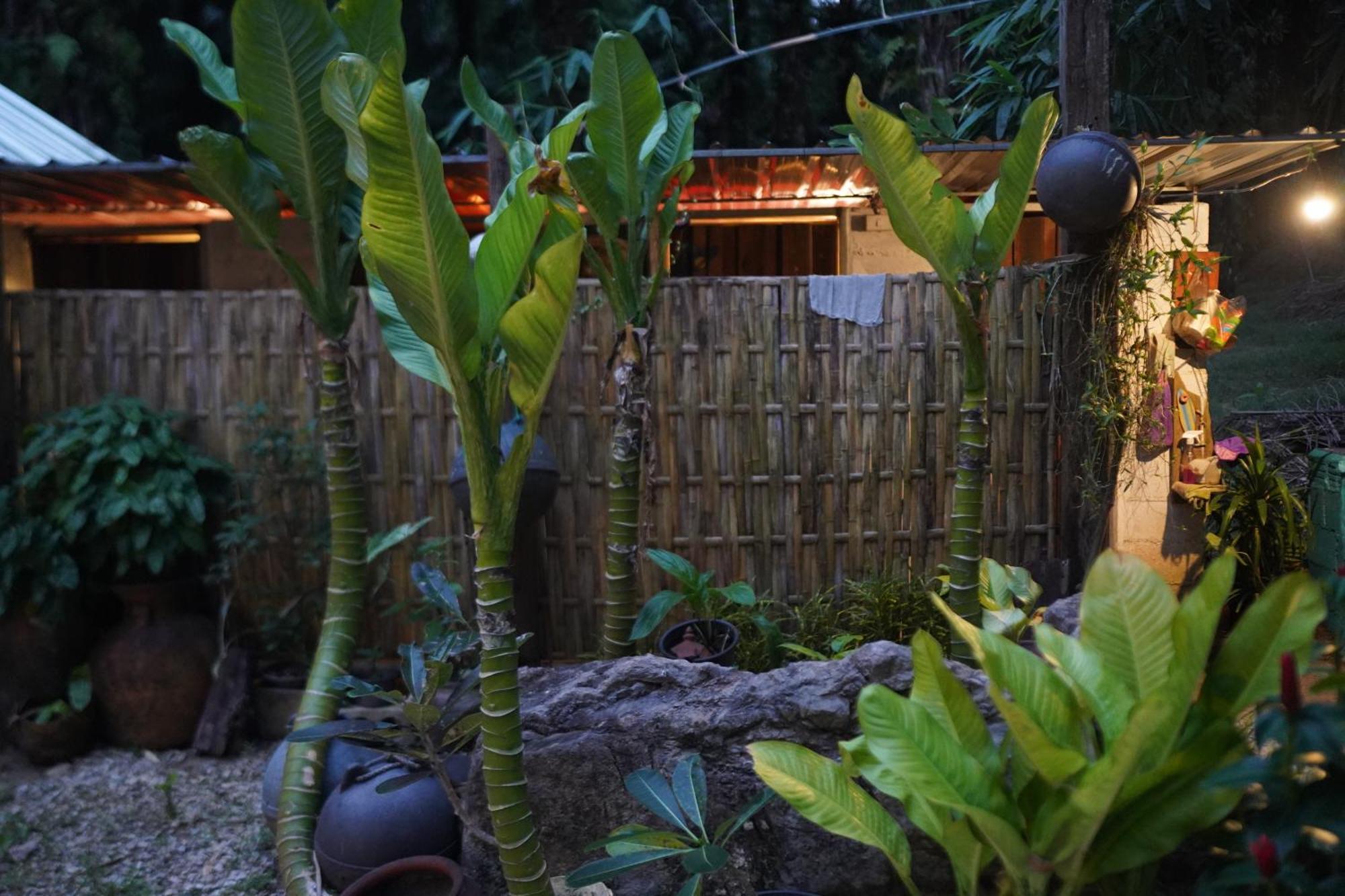 Krabi Bamboo Kingdom At Aoluek Paradise Ao Luk Esterno foto
